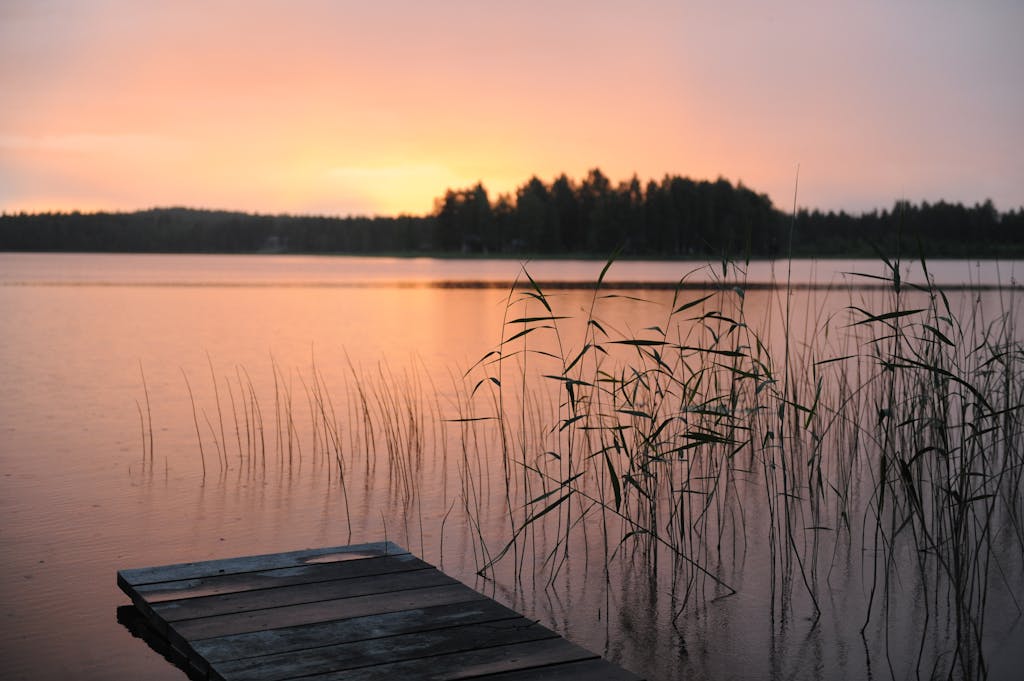 Green Grass Near Body of Water